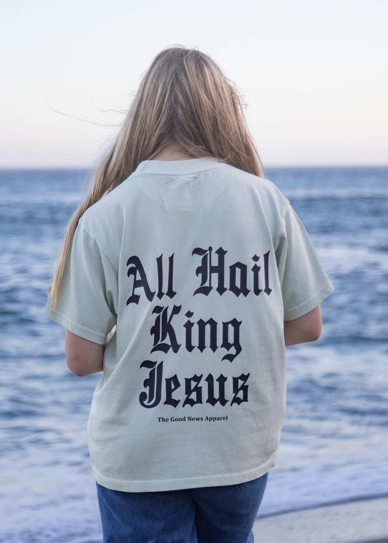 All Hail King Jesus Premium Vintage Tee
