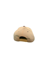 JESUS SAVES HAT